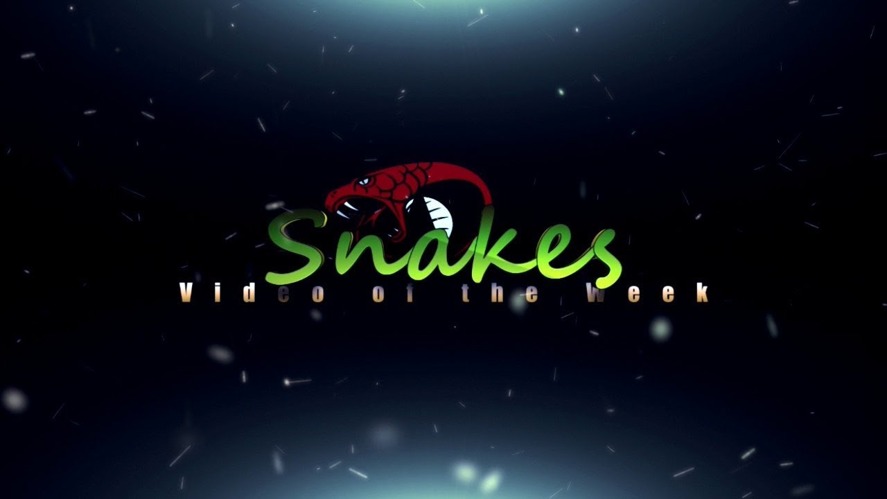 games people play Snakes Video of the Week #40