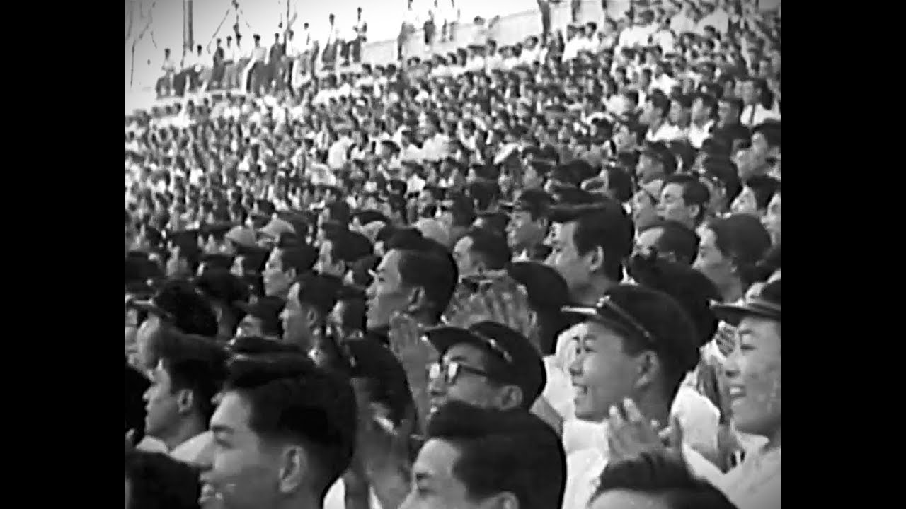 プロ野球　1954年　セントラルリーグ首位荒荘　巨人 中日　覇権を賭けて　D西沢HR　10028