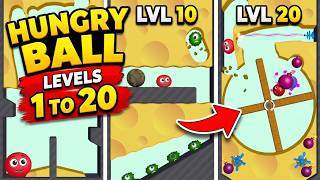 Hungry Ball Game Level 1 to 20 Walkthrough | All Levels Complete Solution | Android Gameplay | game 