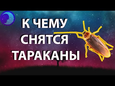 К чему снятся тараканы 😴 Приснились тараканы 😴 Сонник 😴 Толкование снов