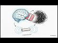 Rewriting the Neural Circuitry of Pelvic Pain and Vaginismus
