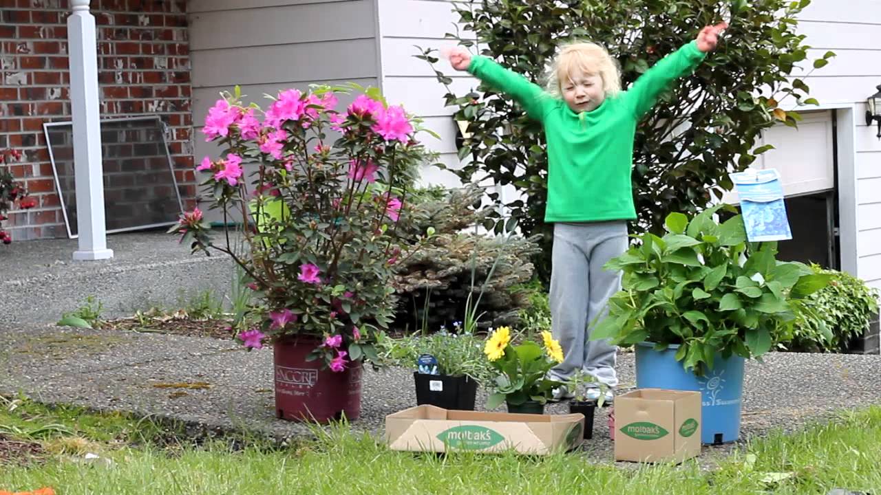 Annabelle's Flower Store YouTube