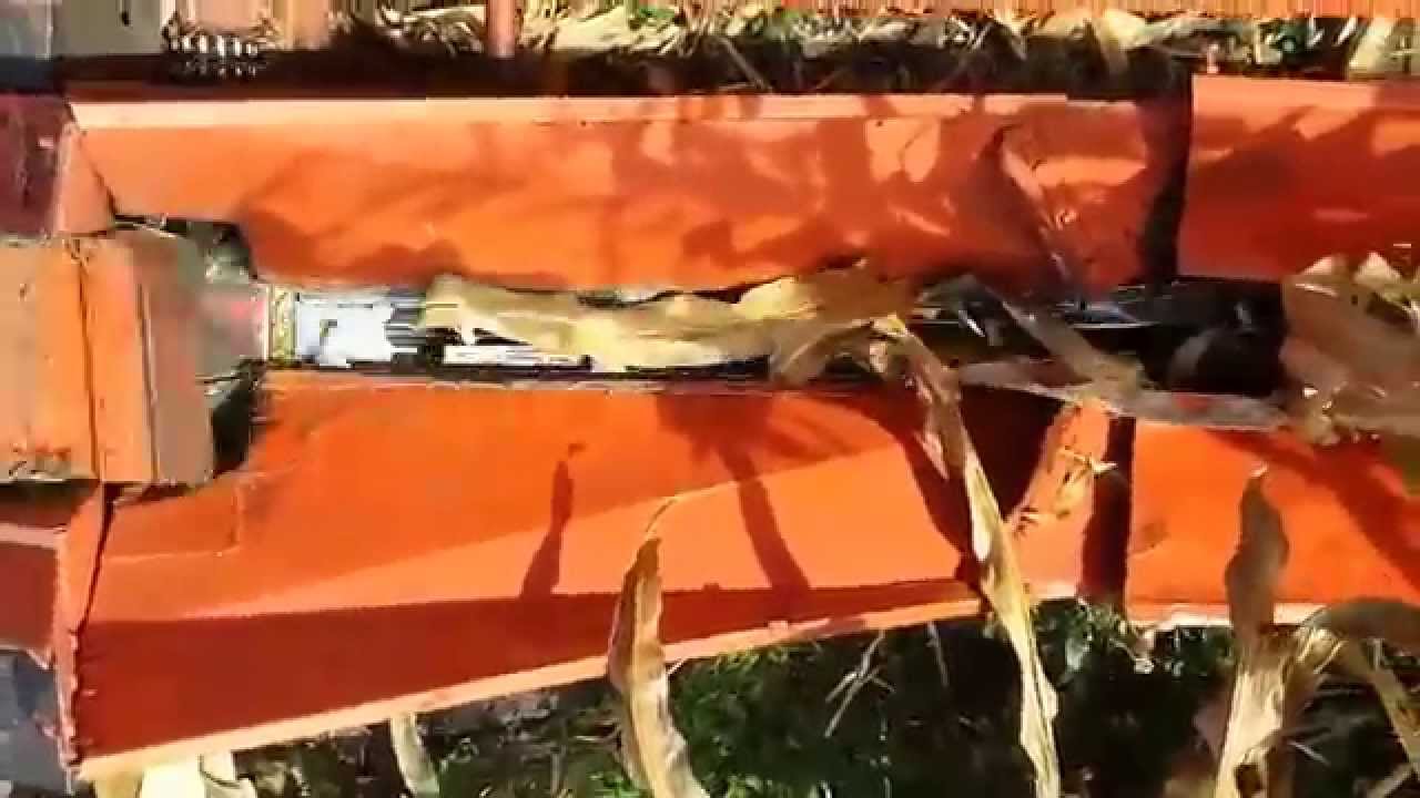 culegator de porumb 2014 - 2