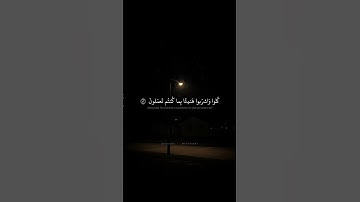إِنَّ المُتَّقينَ في ظِلالٍ وَعُيونٍ | محمد صديق المنشاوي | سورة المرسلات