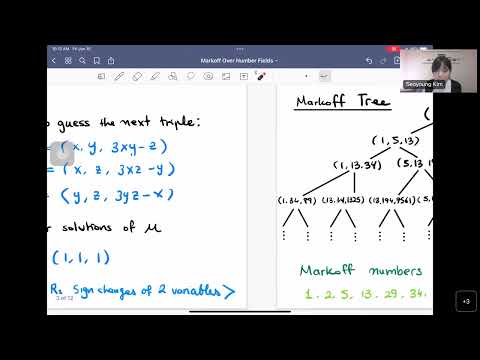 CTNT 2022 - On Markoff type surfaces over number fields (by Seoyoung Kim) Episode cover