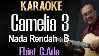 Camelia 3 (Karaoke) Ebiet G Ade Nada Rendah pria/ Cowok/ Low male key B