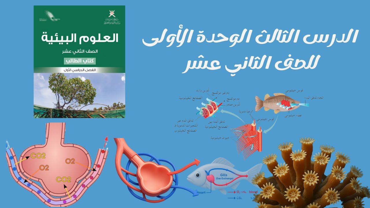 الدرس الثالث: ١.الأسئلة المهمة في  درس تبادل الغازات الوحدة الأولى للصف الثاني عشر أدبي