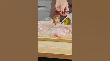 IS JOSHUA WEISSMAN A FRAUD?