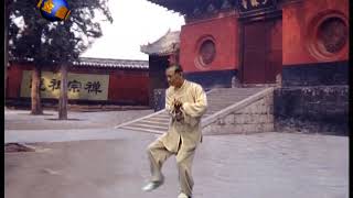 Shaolin Soft Boxing 柔形捶 by Grand Master Gao Dejiang (Disciple of Abbot Xingzheng and Xingshu) screenshot 5