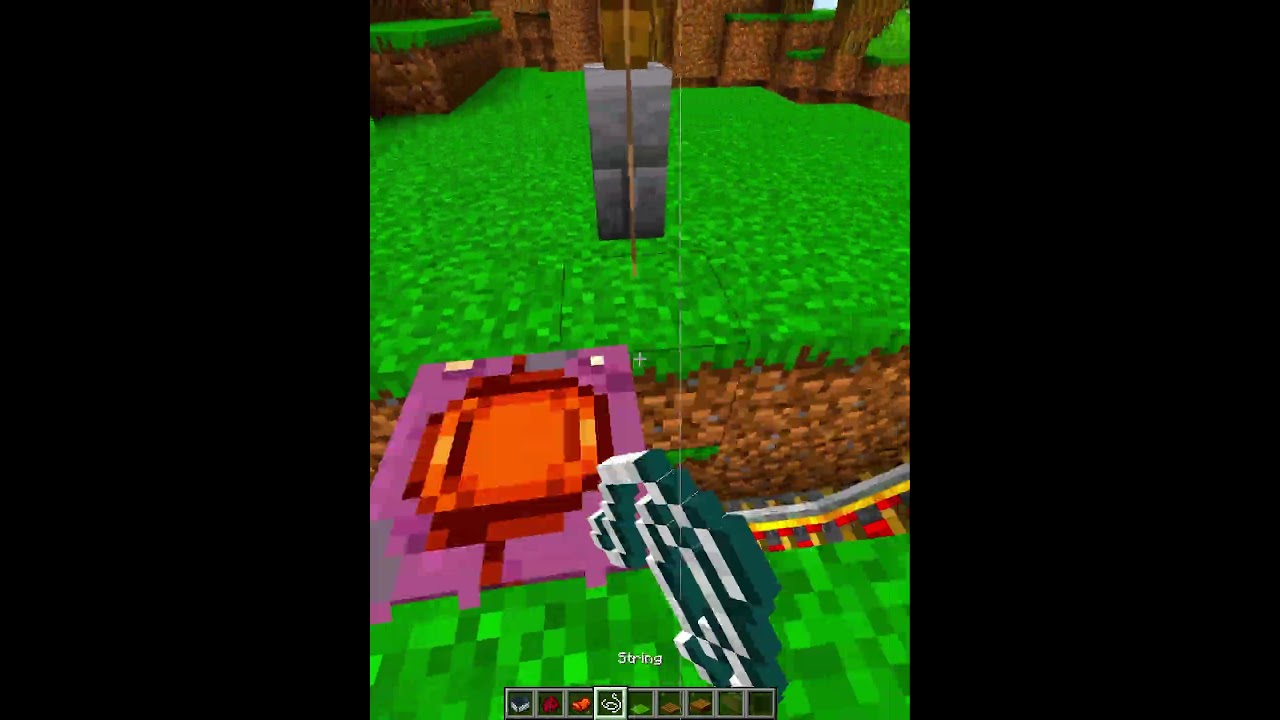 Minecraft Working Swing💀