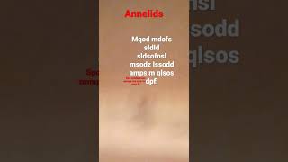 Mpzoe Sldbsise Zlosseslzi Nzksd Sps Snsks Sls Dlsidsbd M Snd Slslsi Zdoos Alldsn Sk Dpsish D Skis S