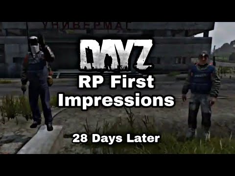 dayz rp servers