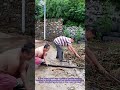 DIY River Cleanup: Removing Weeds to Prevent Bridge Clogging Safely
