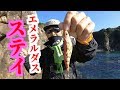 コツ、把握する！エメラルダス ステイ。ステイの使い方エギング！釣りeging