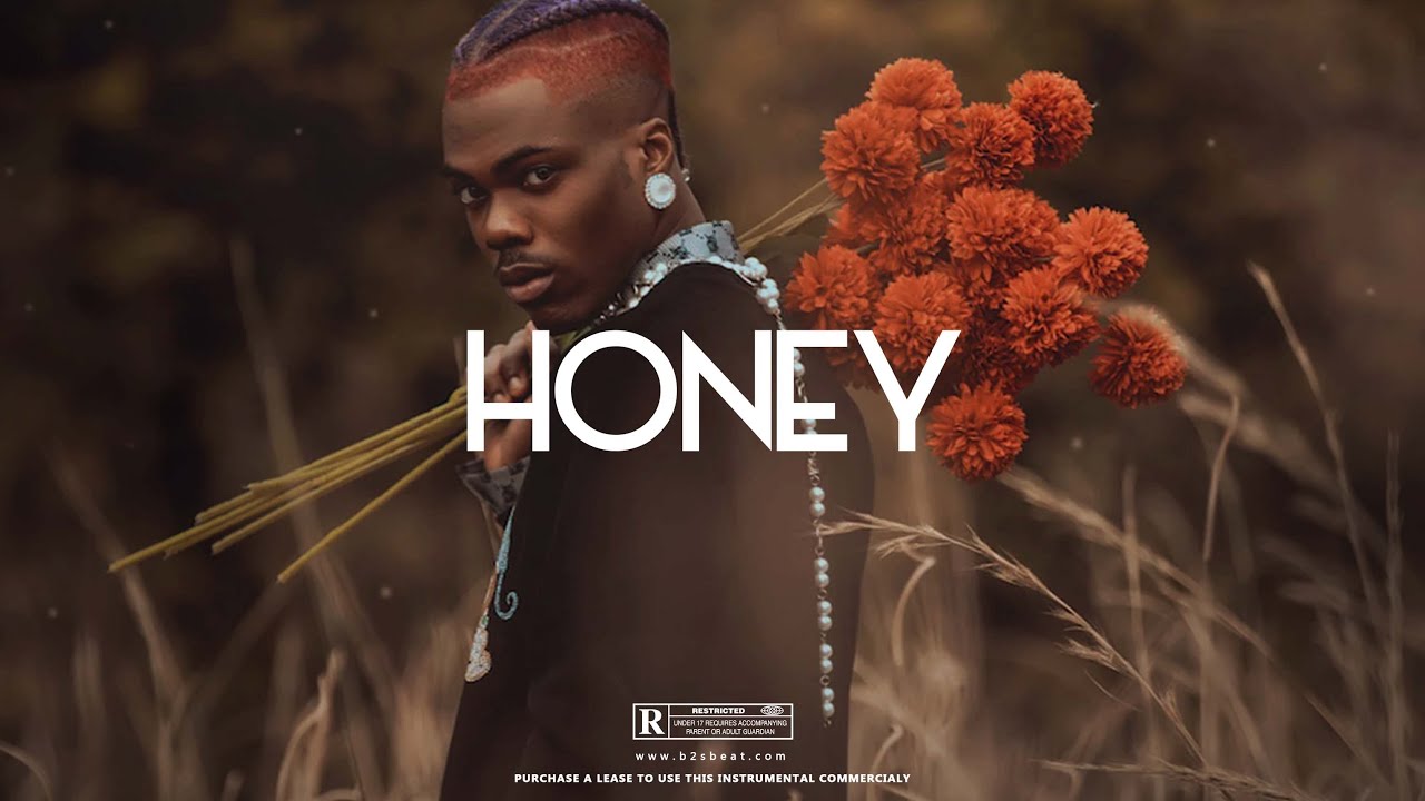 Afro Pop | Afrobeat Instrumental 2023 "Honey" [ Ckay x Wizkid x Tems ] Type Beat