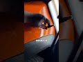 Why are the prices for repairing dents and depressions in axe shaped edges uneven