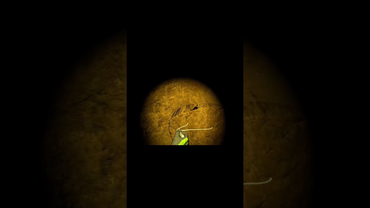 Getting LOST In Endless Caves 