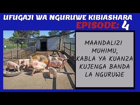 Download EPISODE 4: Ufugaji Wa Nguruwe Kibiashara / Maandalizi muhimu kabla ya kuanza kujenga Banda....