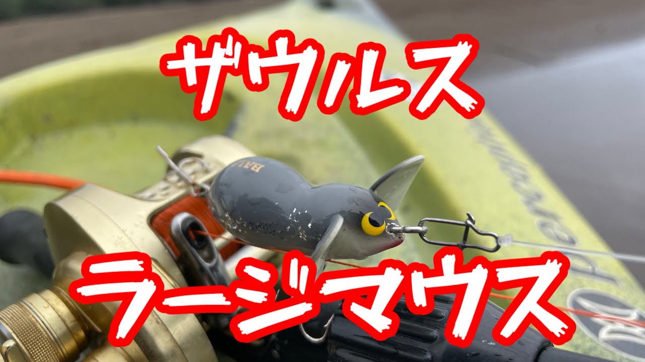 #ザウルス #ラージマウス#bassfishing #小貝川バス釣り#fishing #トップウォーター#カヤックフィッシング