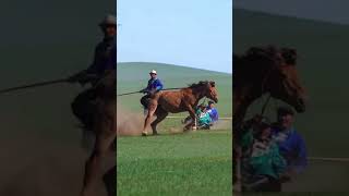 صيد الخيول 😰