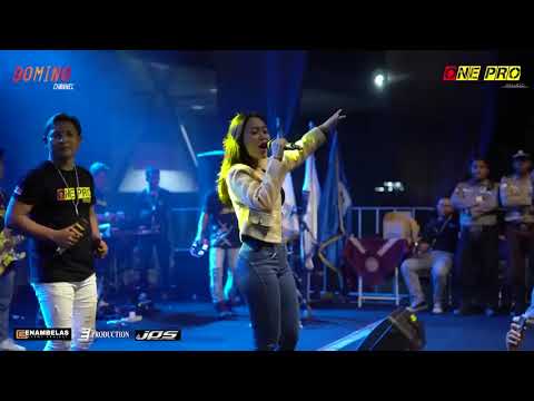 one pro Vita alvia klebus