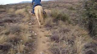 MVI_1007.AVI