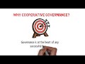 Cooperative governance