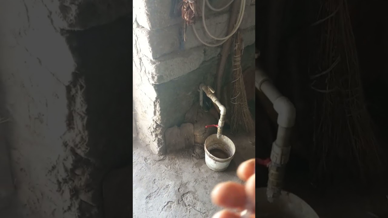 Понос у кроликов 100% средство!