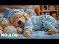 12 Hours Of Dog Calming Music 🐶 Relaxation Music for Dogs 🌿 Gentle Sounds for Peaceful Rest