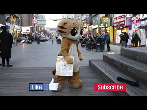 JHKTV] 신촌 명물고양이 여자야 남자야 왜물어 shin chon special <strong>cat</strong> Woman, <strong>man</strong>, why are you asking?