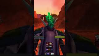 Pet vs. Boro #worldofwarcraft #warcraft #wow #shadowlandswow #funny #shorts #gaming #dragonflight