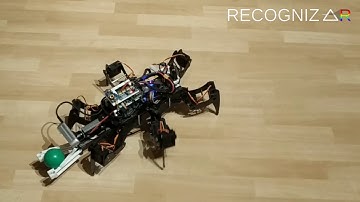 Autonomous Hexapod Robot Cleans Up  -  Demo by Recognizar