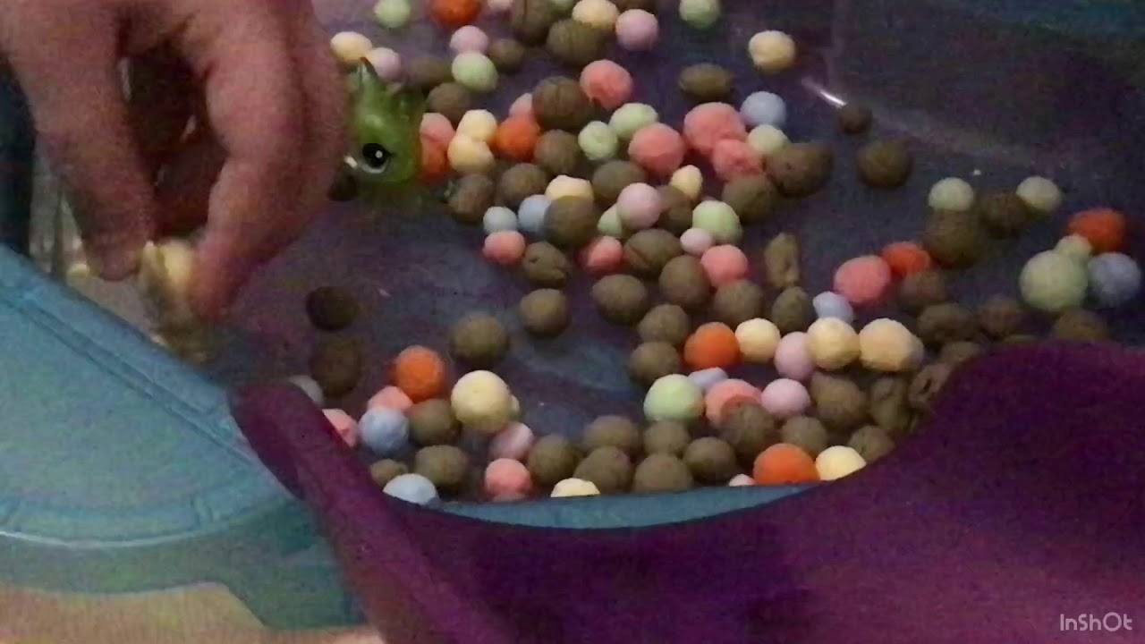 MİNİŞLER kedi ailesi otel’de LPS FOXY TV YouTube