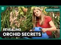 Mastering Orchids & Illuminating Gardens - Garden Angels - S01 EP5 - Gardening