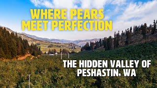 Why Peshastin, WA, Grows Some of the World's Best Pears