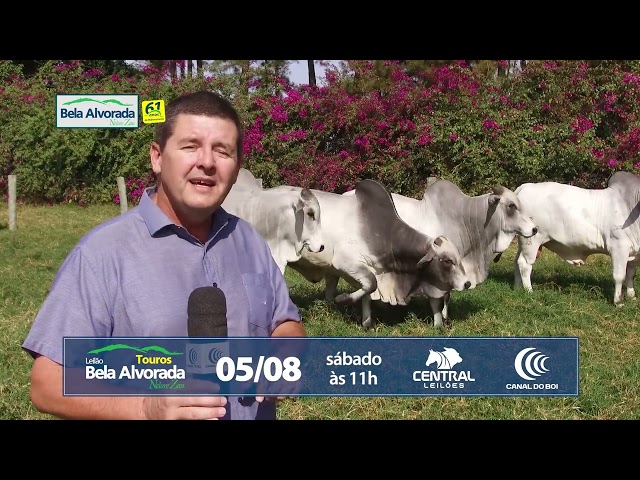 Grandes Criatórios Bela Alvorada