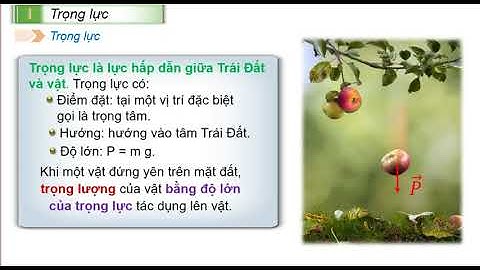 Bài 11 MỘT SỐ LỰC TRONG THỰC TIỄN Vật lí 10  CTST phần 1