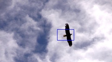 Object tracking using meanShift algorithm - OpenCV