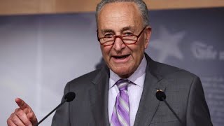 Senate Democratic leader Chuck Schumer and other lawmakers outline economic plan Net Worth