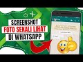 Cara Screenshot Foto Sekali Lihat Di Whatsapp