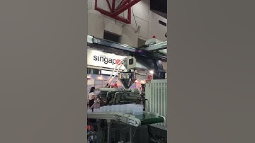 印尼二轴机械手 2 servo robot