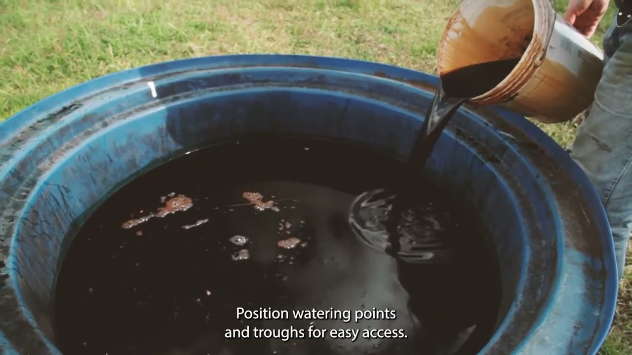 LB PAGE 141 Safety in animal handling