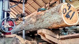 see the sawing of dense and full grain teak wood