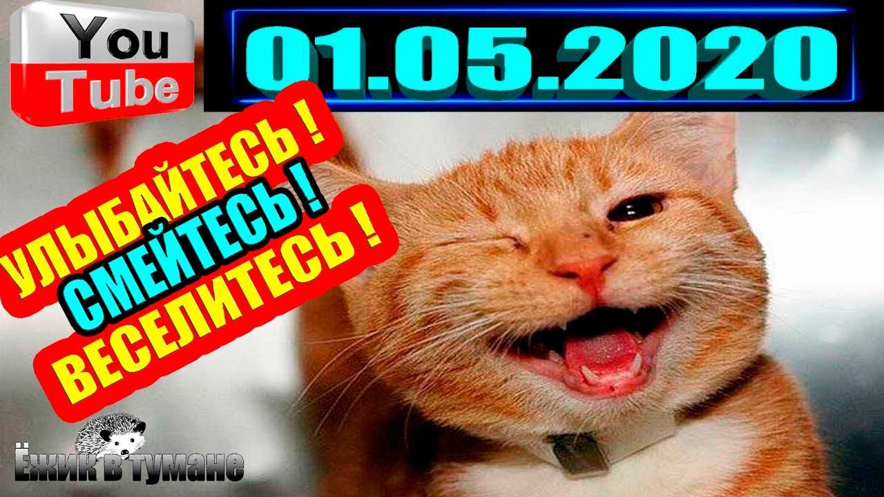 ПОДБОРКА Лучших Приколов / COUB BEST 2020 / Приколы из ИНСТАГРАМА 2020 / КУБ / CUBE / КОУБ Июль 2020