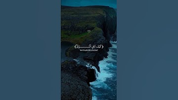 ﴿واذ قال إبراهيم رب ارني﴾#قرآن #قران_كريم #راحة_نفسية #قرآن_كريم  #تلاوة_خاشعة #مصحف #جميل #قرآن