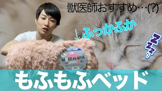 【猫グッズ】ペットグッズの口コミ比較アプリを使って猫のもふもふベッドを買ってみた