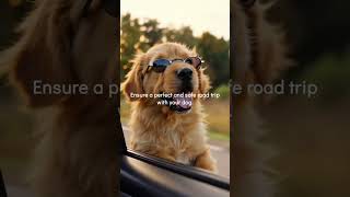 Don't Make This Fatal Car Mistake With Your Dog