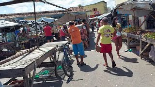 Feira Livre De Macaiba Rn 10072021