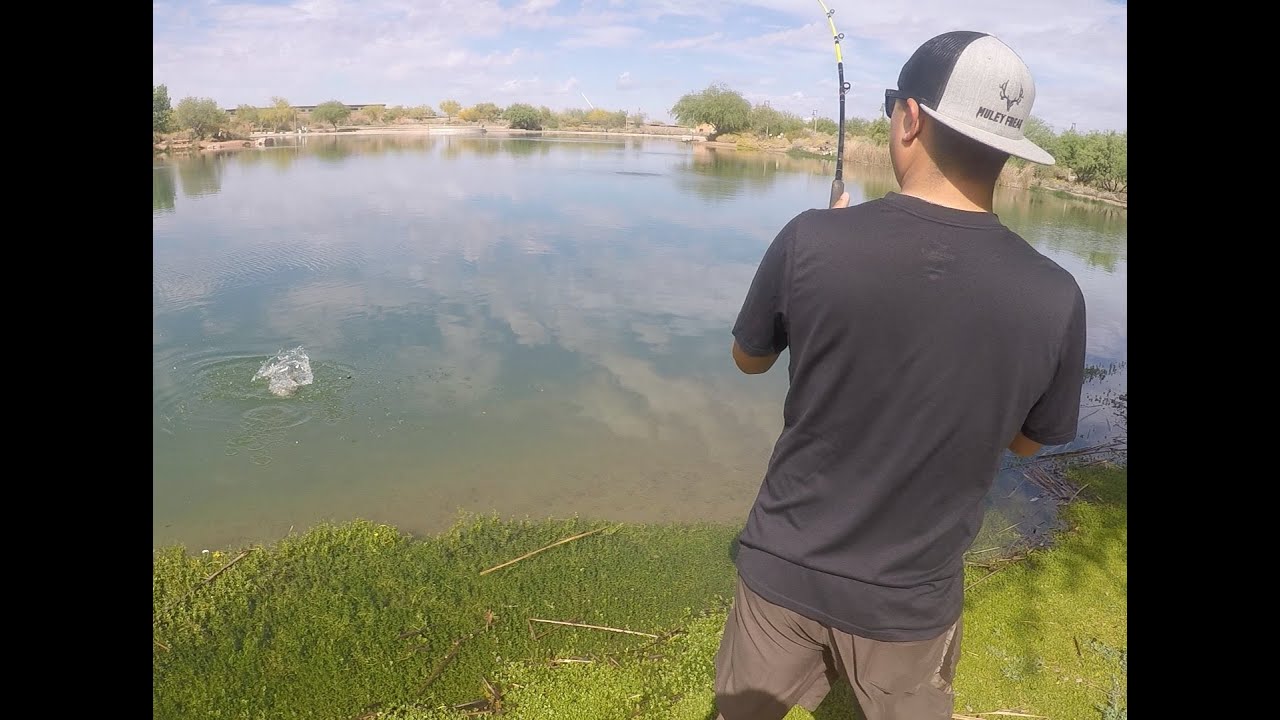 Fishing Veteran Oasis Chandler AZ YouTube