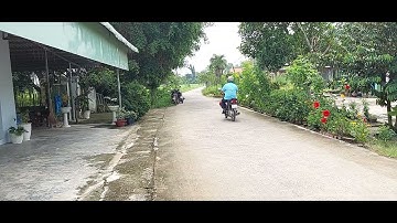 BĐS Long An| Lô Đất Thổ Cư Mặt Tiền Đường Bê Tông Giá Rẻ Đầu Tư|MKCS